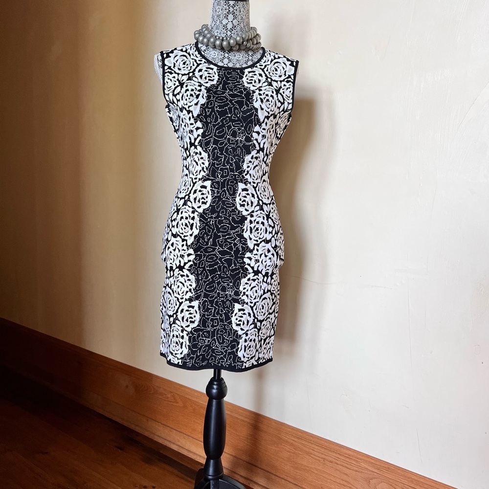 Fitted dress from BCBG MaxAzria.  Size M.